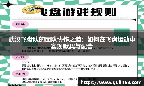 武汉飞盘队的团队协作之道：如何在飞盘运动中实现默契与配合