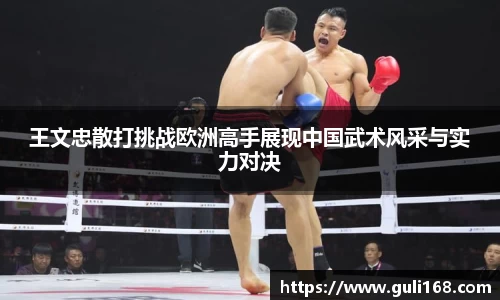 王文忠散打挑战欧洲高手展现中国武术风采与实力对决