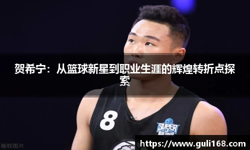 贺希宁：从篮球新星到职业生涯的辉煌转折点探索