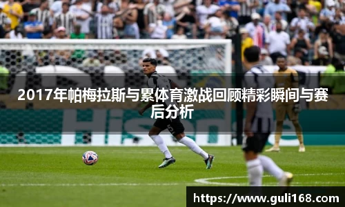 2017年帕梅拉斯与累体育激战回顾精彩瞬间与赛后分析