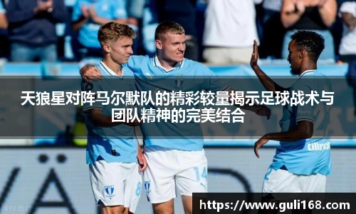 天狼星对阵马尔默队的精彩较量揭示足球战术与团队精神的完美结合