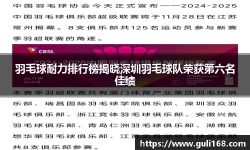 羽毛球耐力排行榜揭晓深圳羽毛球队荣获第六名佳绩